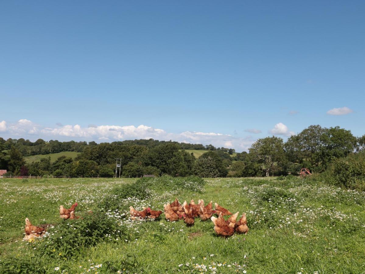 شقة The Cider Shed Winscombe المظهر الخارجي الصورة